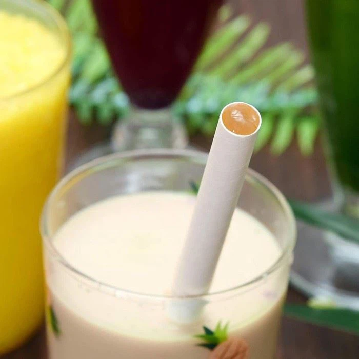 Biodegradable white straight paper straws in detail