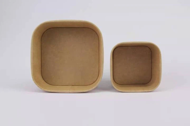 Square Paper Bowls